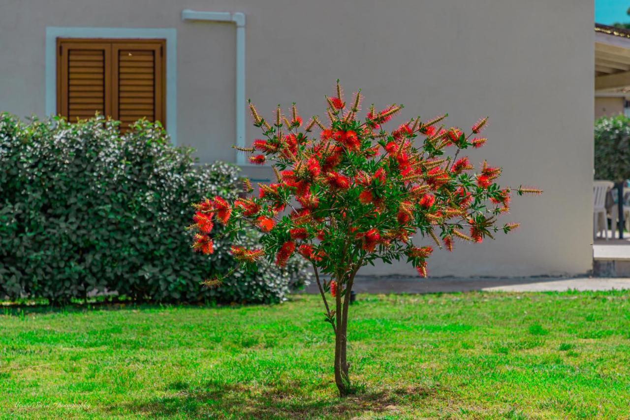 Stella Marina Budoni Εξωτερικό φωτογραφία